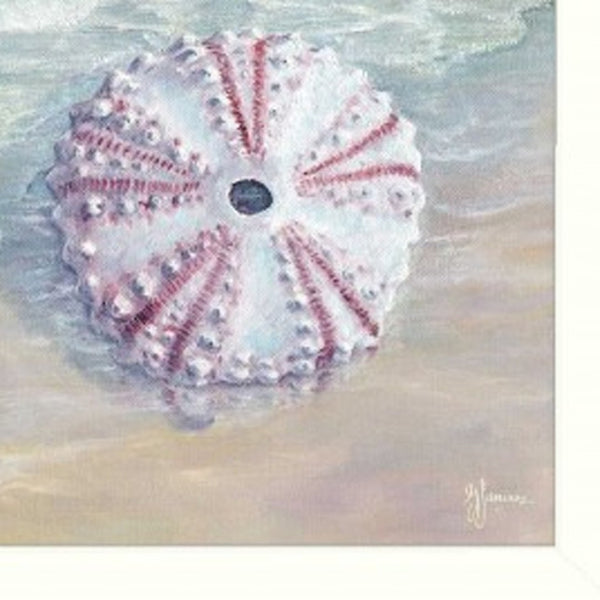 HomeRoots Set of Three Shells I Elegant White Framed Coastal Wall Art for Bathroom & Home Décor Refresh 405679