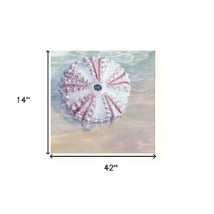 HomeRoots Set of Three Shells I Elegant White Framed Coastal Wall Art for Bathroom & Home Décor Refresh 405679