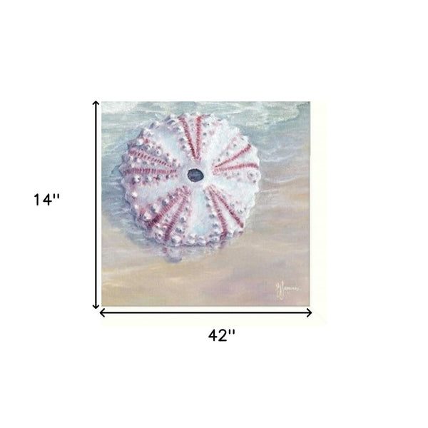 HomeRoots Set of Three Shells I Elegant White Framed Coastal Wall Art for Bathroom & Home Décor Refresh 405679