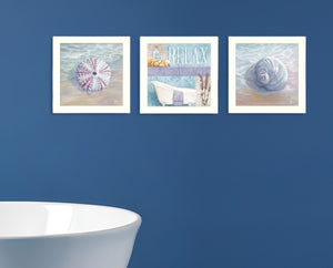 HomeRoots Set of Three Shells I Elegant White Framed Coastal Wall Art for Bathroom & Home Décor Refresh 405679
