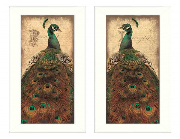 Homeroots Set Of Two Peacock 1 White Framed Print Wall Art  Mdf Paper Print Texture 405686