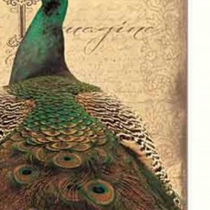 Homeroots Set Of Two Peacock 1 White Framed Print Wall Art  Mdf Paper Print Texture 405686