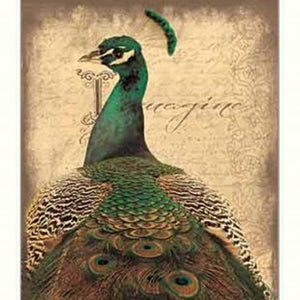 Homeroots Set Of Two Peacock 1 White Framed Print Wall Art  Mdf Paper Print Texture 405686
