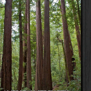 Homeroots Set Of Two Strength 1 Black Framed Wall Art Prints - Stylish Home Decor To Elevate Your Space  Wood Product Paper Print Uv Coating 405748