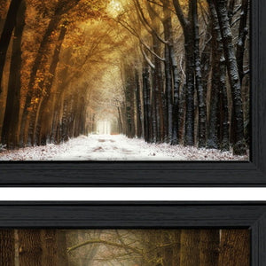 HomeRoots Set of 2 Framed Contemporary Mixed-Media Art Prints for Modern Home Decor - Ready to Hang! 405814