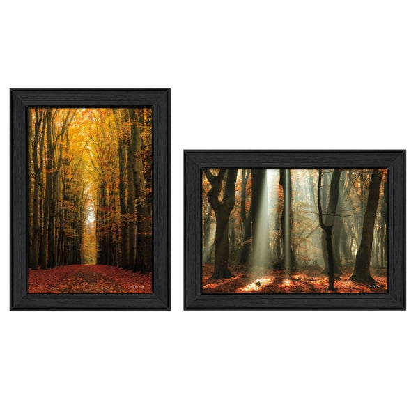 HomeRoots Set of 2 Stylish Framed Paper Prints - Modern Countryside Decor for Any Room, Ready to Hang 405816