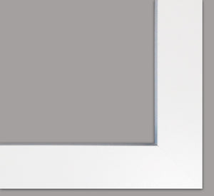 Homeroots Set Of Two Floral Designs White Framed Print Wall Art  Paper,Wood 406063