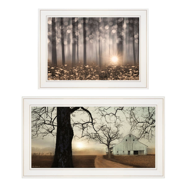 HomeRoots Set of Two Enchanted Sunrise Framed Prints – Vibrant Wall Art for Modern Home Decor & Easy Installation 406080