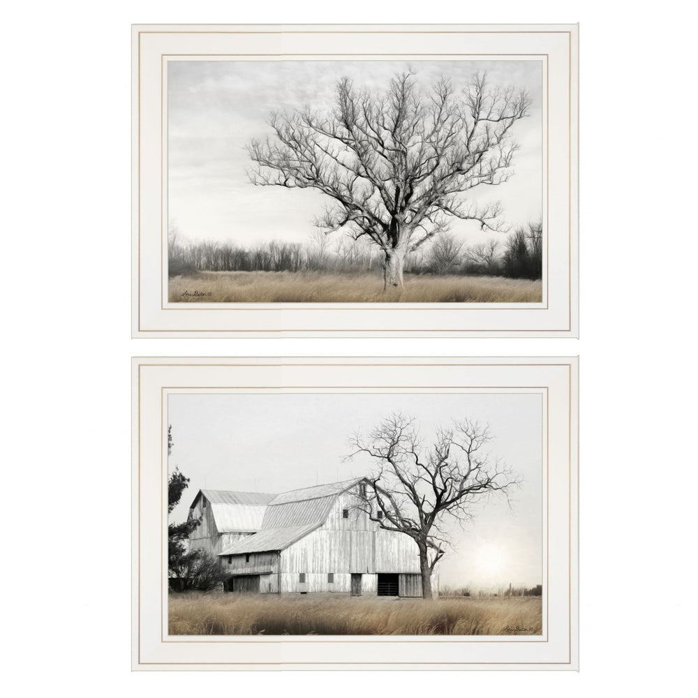 HomeRoots Set of Two Ohio Fields I Framed Print Wall Art - Contemporary Home Décor for Stylish Spaces White 406082