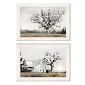 HomeRoots Set of Two Ohio Fields I Framed Print Wall Art - Contemporary Home Décor for Stylish Spaces White 406082