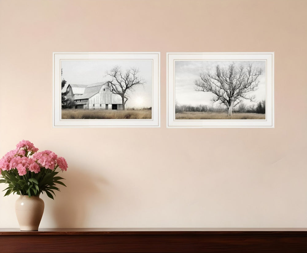 HomeRoots Set of Two Ohio Fields I Framed Print Wall Art - Contemporary Home Décor for Stylish Spaces White 406082