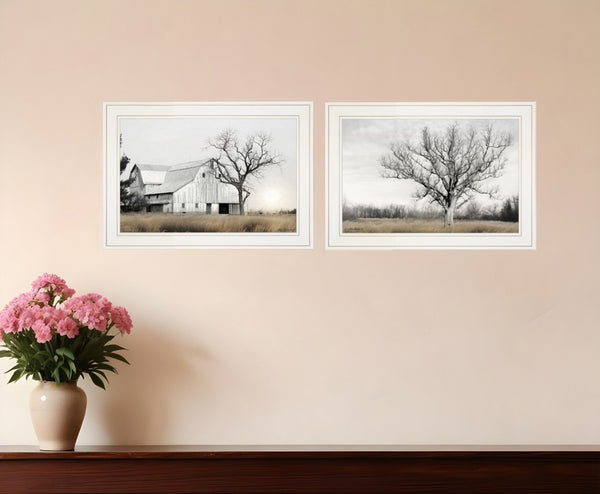 HomeRoots Set of Two Ohio Fields I Framed Print Wall Art - Contemporary Home Décor for Stylish Spaces White 406082
