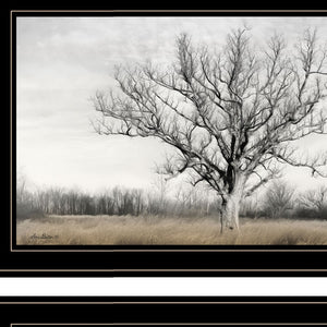 Homeroots Set Of Two Ohio Fields I 2 Black Framed Print Wall Art  Paper,Wood 406083