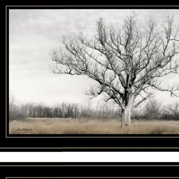 Homeroots Set Of Two Ohio Fields I 2 Black Framed Print Wall Art  Paper,Wood 406083