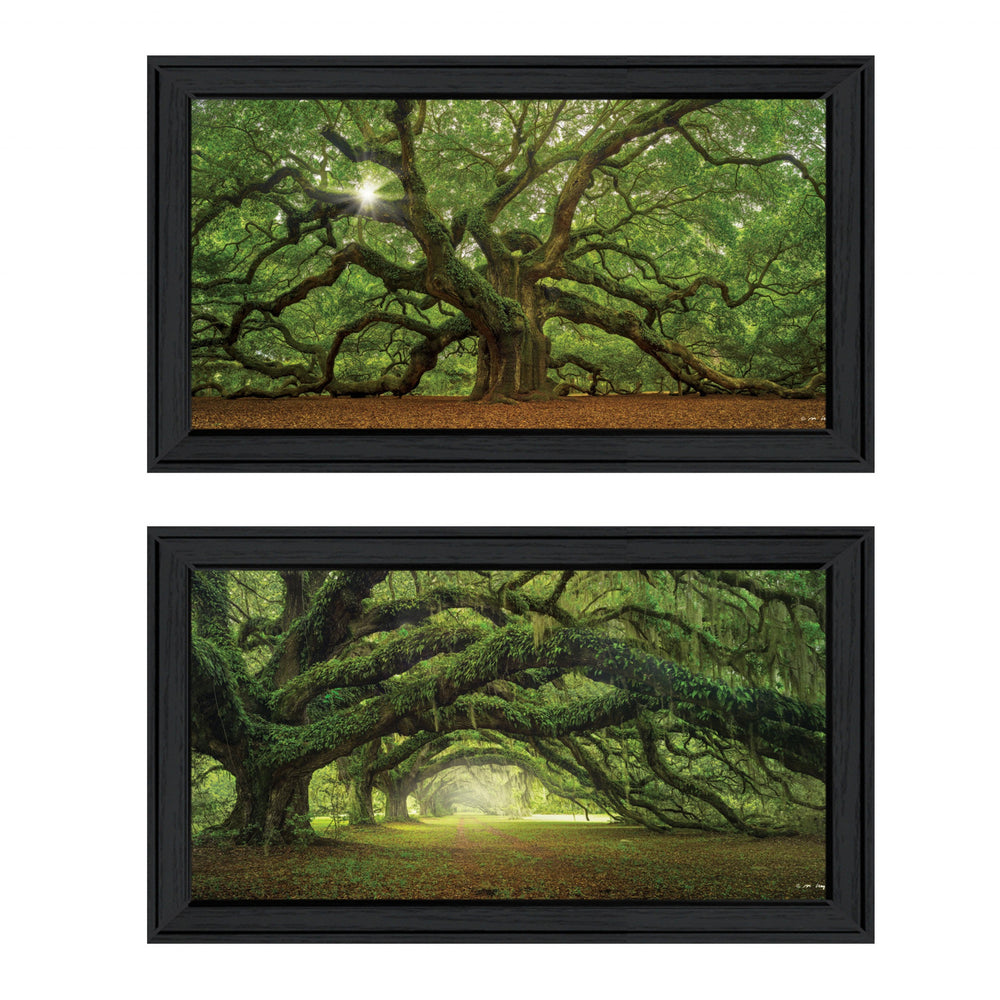 Homeroots Set Of Two Tree Arbors By Moises Levy Black Frame Black Framed Print Wall Art  Paper,Wood 406084