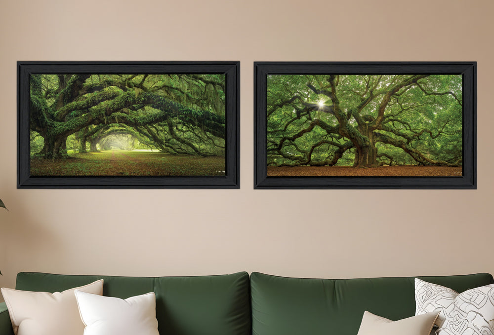 Homeroots Set Of Two Tree Arbors By Moises Levy Black Frame Black Framed Print Wall Art  Paper,Wood 406084