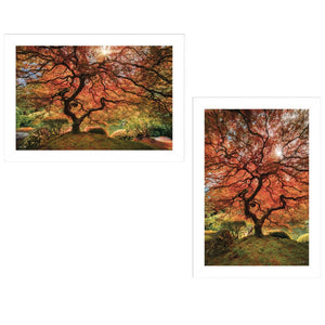 HomeRoots Set of Two Elegant Autumn Framed Prints - Modern Fall Wall Art for Home Decor & Easy Styling 406089