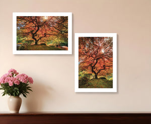 HomeRoots Set of Two Elegant Autumn Framed Prints - Modern Fall Wall Art for Home Decor & Easy Styling 406089