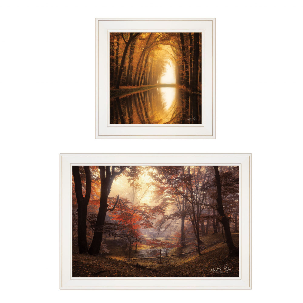 Homeroots Set Of Two Natures Reflections 1 White Framed Print Wall Art  Paper,Wood 406106