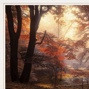 Homeroots Set Of Two Natures Reflections 1 White Framed Print Wall Art  Paper,Wood 406106