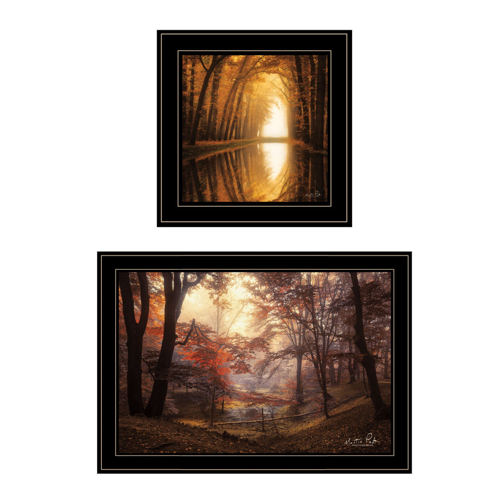 Homeroots Set Of Two Natures Reflections 2 Black Framed Print Wall Art  Paper,Wood 406107