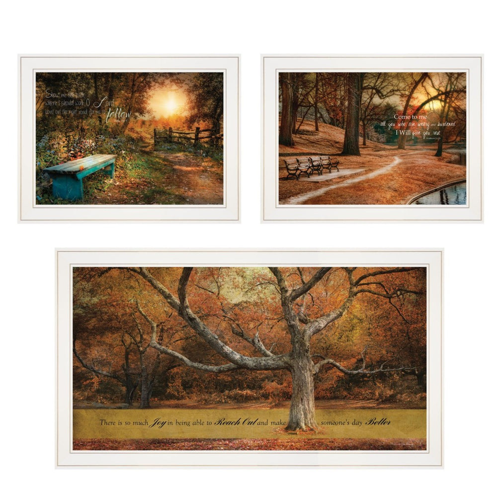 HomeRoots Set of Three Tranquil Spaces Framed Prints - Modern Wall Art for Living Rooms & Bedrooms Decor 406108