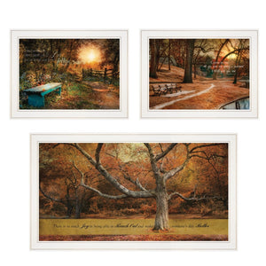 HomeRoots Set of Three Tranquil Spaces Framed Prints - Modern Wall Art for Living Rooms & Bedrooms Decor 406108