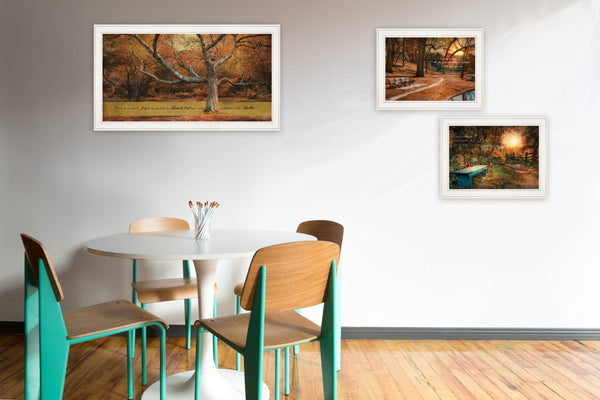 HomeRoots Set of Three Tranquil Spaces Framed Prints - Modern Wall Art for Living Rooms & Bedrooms Decor 406108