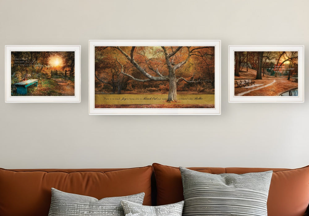 HomeRoots Set of Three Tranquil Spaces Framed Prints - Modern Wall Art for Living Rooms & Bedrooms Decor 406108