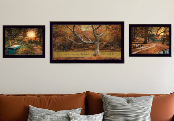 Homeroots Set Of Three Tranquil Spaces 2 Black Framed Print Wall Art Black Paper,Wood 406109