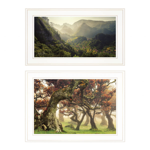 Homeroots Set Of Two The Land Of Hobbits 1 White Framed Print Wall Art  Wood Paper 406158