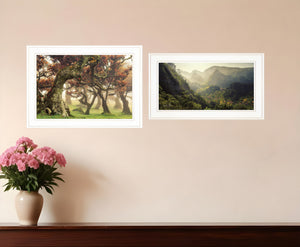 Homeroots Set Of Two The Land Of Hobbits 1 White Framed Print Wall Art  Wood Paper 406158