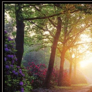 Homeroots Set Of Two Path Of Happiness 2 Black Framed Print Wall Art  Wood Paper 406161