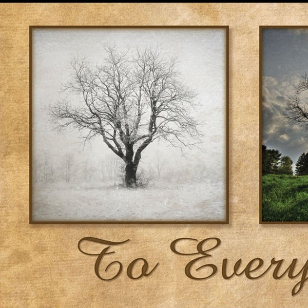 Homeroots There Is A Season Big Trees Black Framed Print Wall Art  Wood Product Paper Print Uv Coating 406514