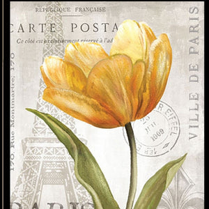 Homeroots Set Of Two Paris 2 Black Framed Print Wall Art  Wood Product Paper Print Uv Coating 406630