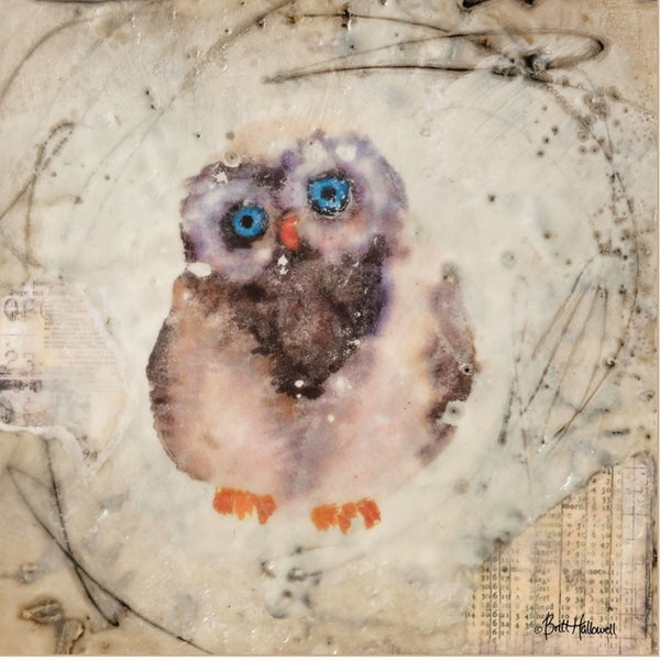 Homeroots Set Of Two Wonder Years Owls 1 White Framed Print Wall Art  Paper 407067