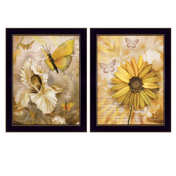 Homeroots Set Of Two Flowers And Butterflies 3 Black Framed Print Wall Art  Paper 407180