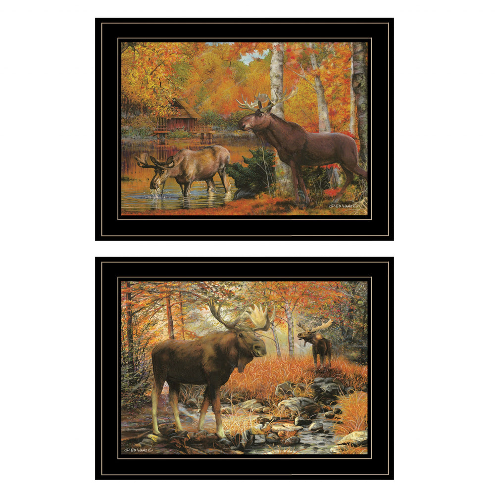 Homeroots Set Of Two Great Outdoors 4 Black Framed Print Wall Art  Paper 407194