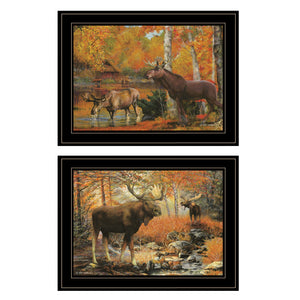 Homeroots Set Of Two Great Outdoors 4 Black Framed Print Wall Art  Paper 407194