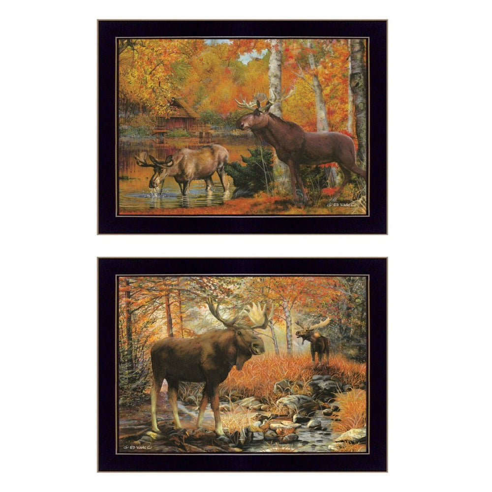 HomeRoots Set of Two Call of the Wild 2 Black Framed Print Wall Art - Modern Nature-Inspired Decor for Any Room 407195