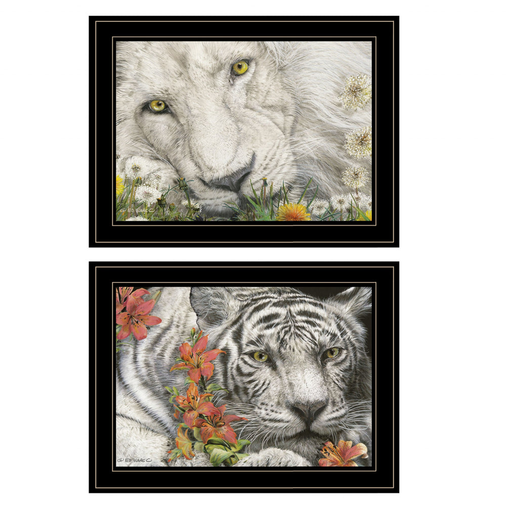 Homeroots Set Of Two Tiger Lily Dandy Lion 2 Black Framed Print Wall Art  Paper 407197