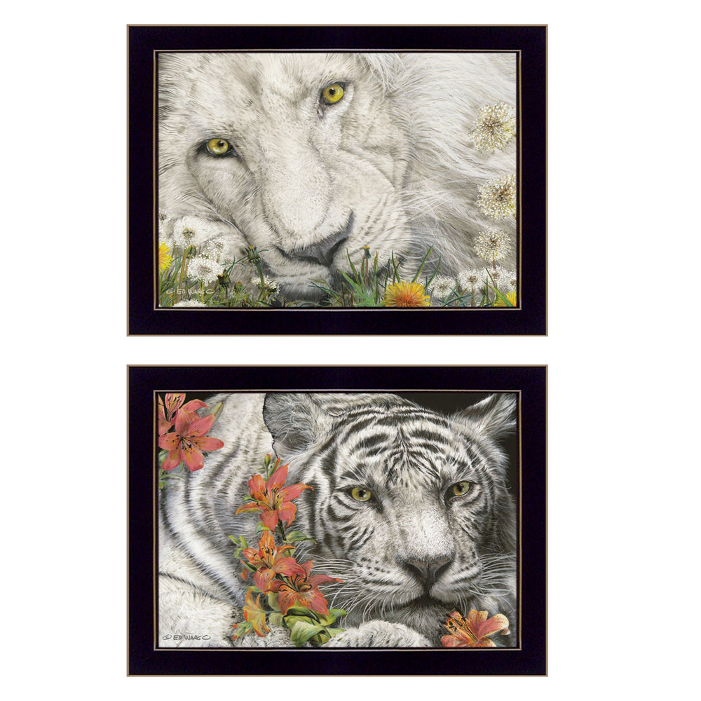 Homeroots Set Of Two Tiger Lily Dandy Lion 3 Black Framed Print Wall Art  Paper 407198