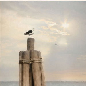 HomeRoots Set of Two Coastal Charm Framed Prints - Vibrant Wall Art for Effortless Home Décor Update 407239