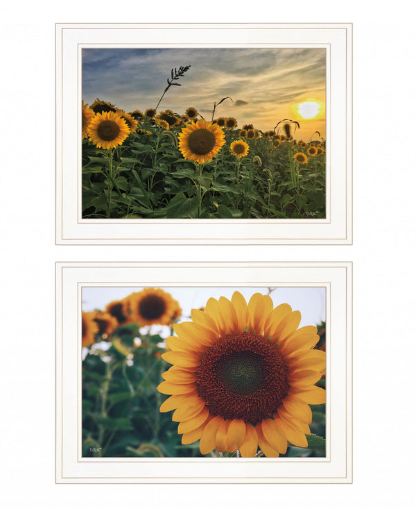 Homeroots Set Of Two Midwest Living 1 White Framed Print Wall Art White Wood Print 407950