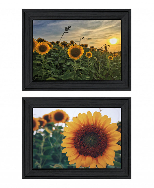 Homeroots Set Of Two Midwest Living 2 Black Framed Print Wall Art  Wood Print 407951