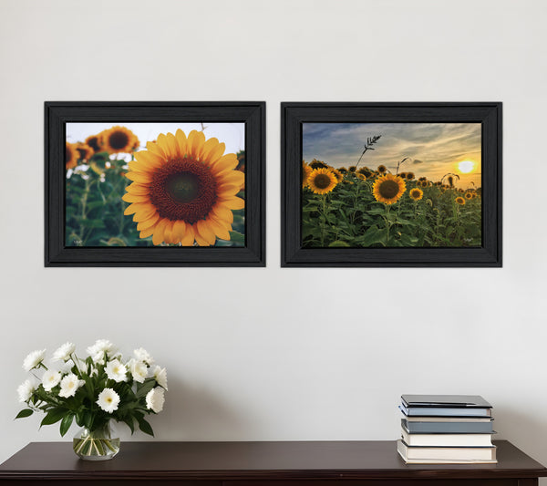 Homeroots Set Of Two Midwest Living 2 Black Framed Print Wall Art  Wood Print 407951