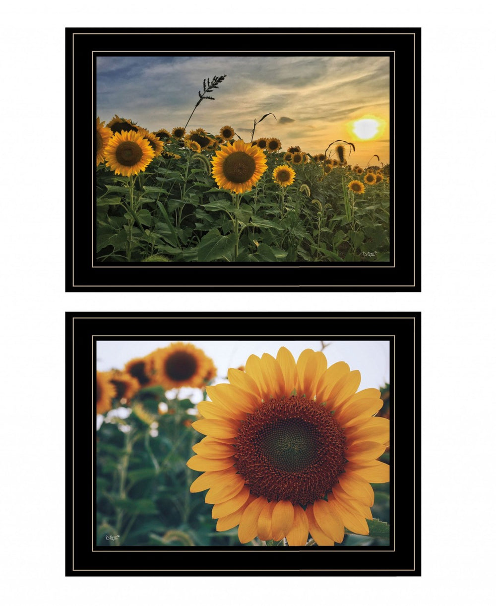 HomeRoots Set of Two Framed Wood Prints - Farmhouse Charm Meets Modern Style for Effortless Wall Decor Black and Gold 407952