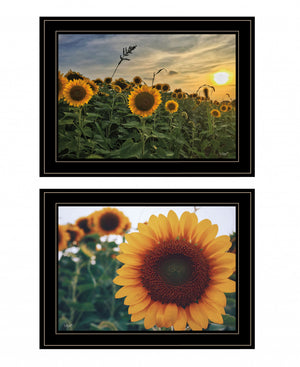 Homeroots Set Of Two Midwest Living 3 Black Framed Print Wall Art Black And Gold Wood Print 407952