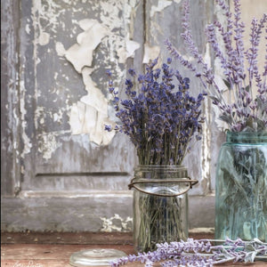 HomeRoots Set of Three Rustic Lavender Floral Wall Art Prints – Inspirational Quotes for Modern Decor 408016