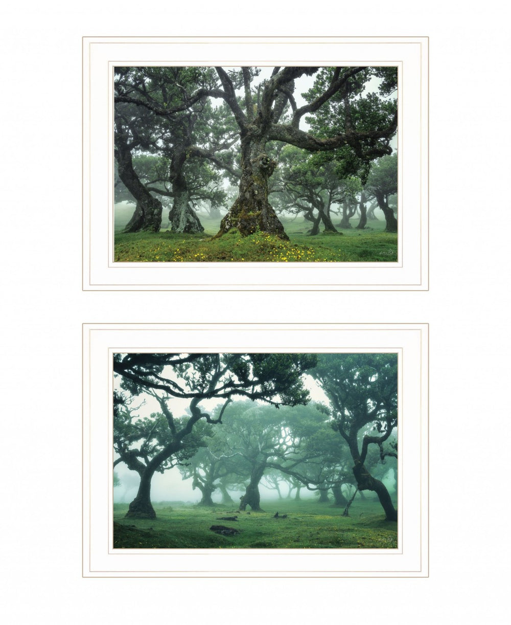 HomeRoots Set of Two Enchanted Forest Framed Prints - Rustic Charm Meets Modern Style for Any Room 408031